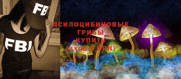 mdma Кукмор